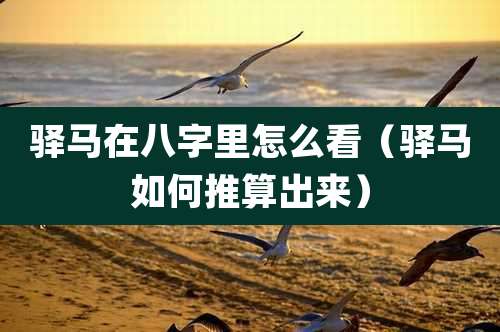 驿马在八字里怎么看(驿马如何推算出来)