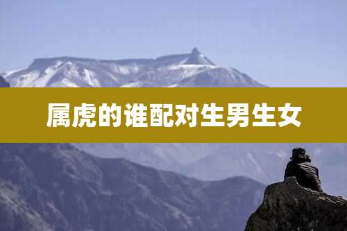 属虎的谁配对生男生女