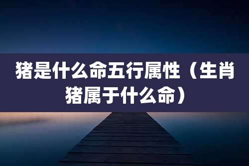 猪是什么命五行属性(生肖猪属于什么命)