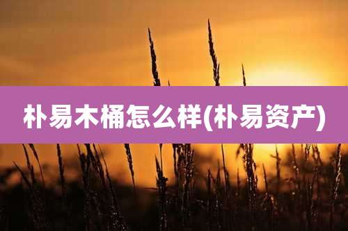 朴易木桶怎么样(朴易资产)