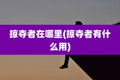 掠夺者在哪里(掠夺者有什么用)