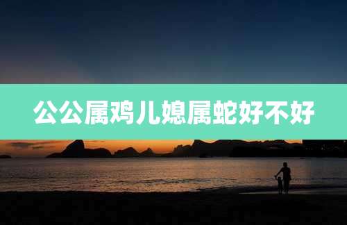 公公属鸡儿媳属蛇好不好