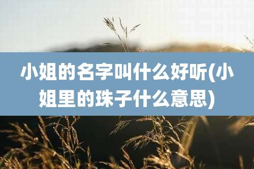 小姐的名字叫什么好听(小姐里的珠子什么意思)
