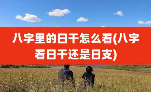 八字里的日干怎么看(八字看日干还是日支)