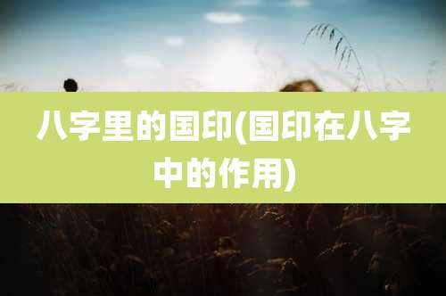 八字里的国印(国印在八字中的作用)