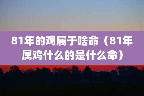 81年的鸡属于啥命(81年属鸡什么的是什么命)