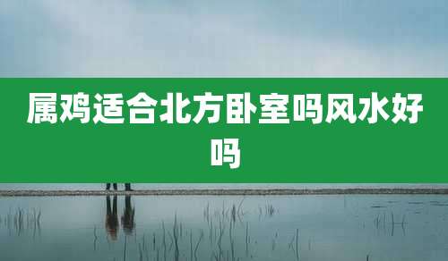 属鸡适合北方卧室吗风水好吗