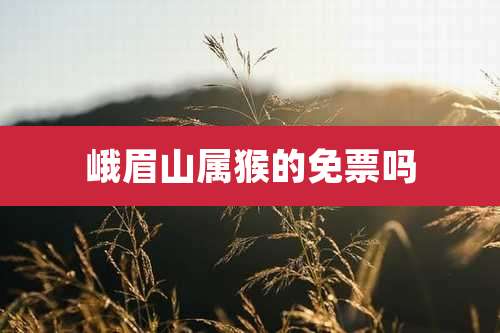 峨眉山属猴的免票吗