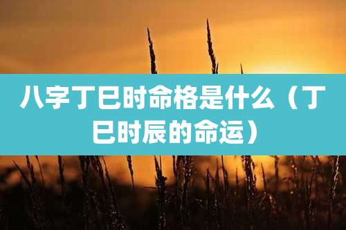 八字丁巳时命格是什么(丁巳时辰的命运)