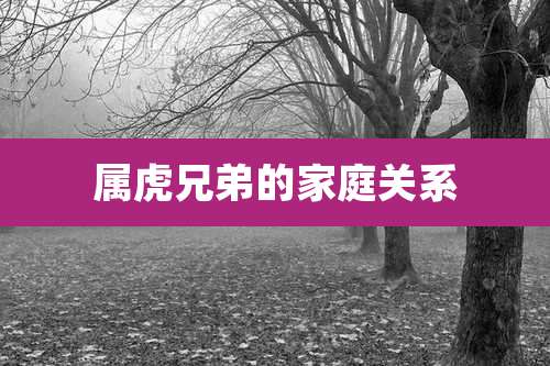 属虎兄弟的家庭关系