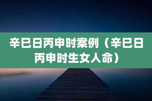 辛巳日丙申时案例(辛巳日丙申时生女人命)