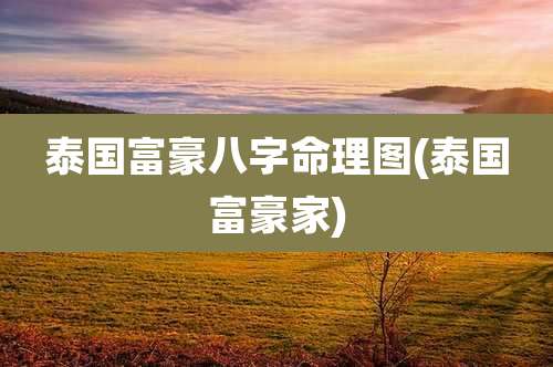 泰国富豪八字命理图(泰国富豪家)