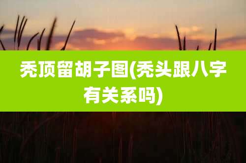 秃顶留胡子图(秃头跟八字有关系吗)
