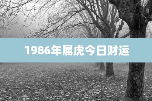 1986年属虎今日财运