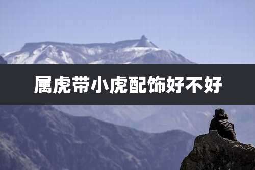 属虎带小虎配饰好不好