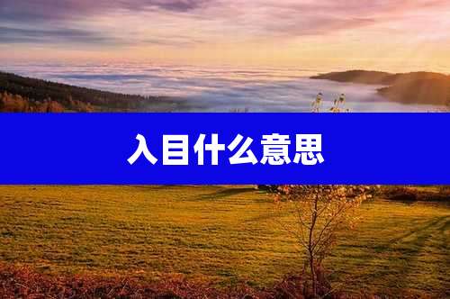 入目什么意思