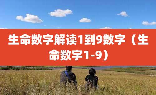 生命数字解读1到9数字(生命数字1-9)