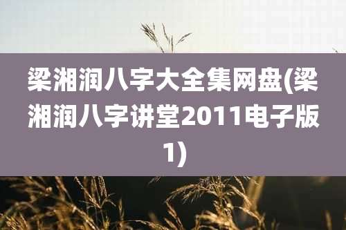 梁湘润八字大全集网盘(梁湘润八字讲堂2011电子版1)