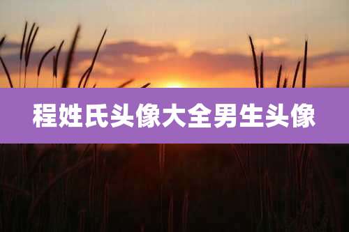 程姓氏头像大全男生头像