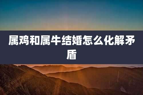 属鸡和属牛结婚怎么化解矛盾