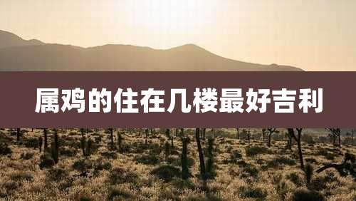 属鸡的住在几楼最好吉利