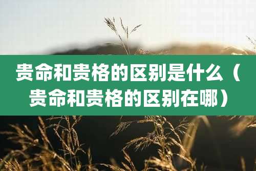 贵命和贵格的区别是什么(贵命和贵格的区别在哪)