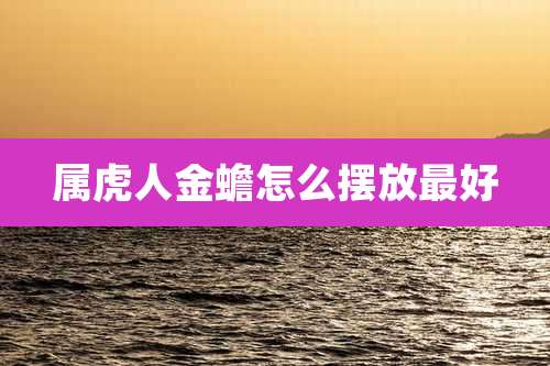 属虎人金蟾怎么摆放最好