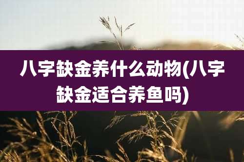 八字缺金养什么动物(八字缺金适合养鱼吗)