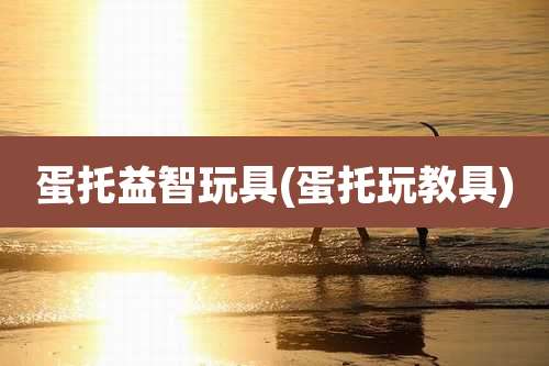 蛋托益智玩具(蛋托玩教具)