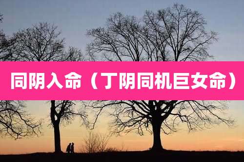 同阴入命(丁阴同机巨女命)