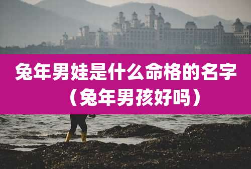 兔年男娃是什么命格的名字(兔年男孩好吗)