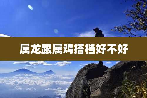 属龙跟属鸡搭档好不好