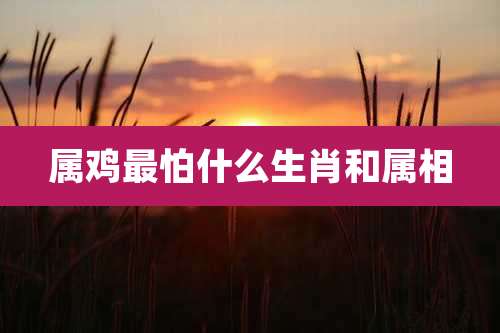属鸡最怕什么生肖和属相