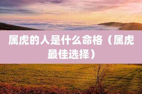 属虎的人是什么命格(属虎最佳选择)