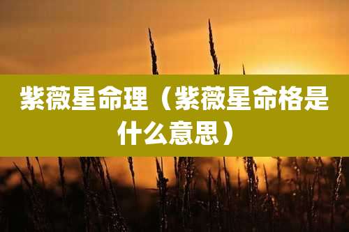 紫薇星命理(紫薇星命格是什么意思)