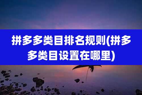 拼多多类目排名规则(拼多多类目设置在哪里)