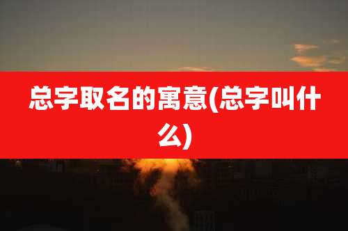 总字取名的寓意(总字叫什么)