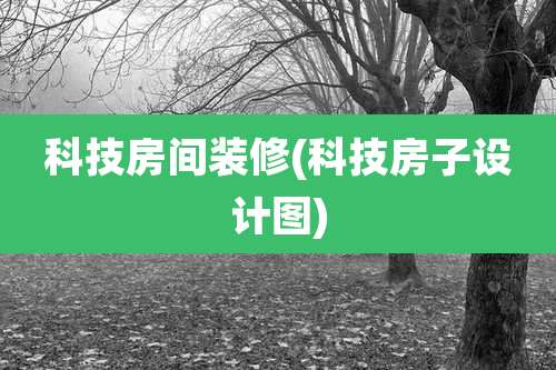 科技房间装修(科技房子设计图)