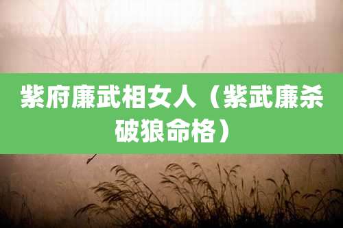 紫府廉武相女人(紫武廉杀破狼命格)