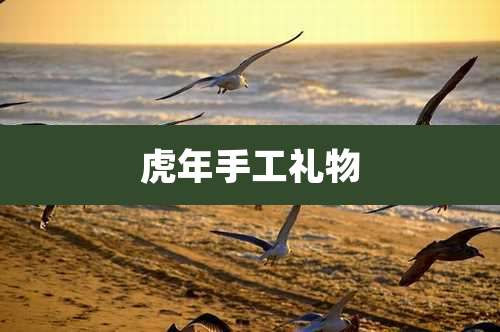 虎年手工礼物