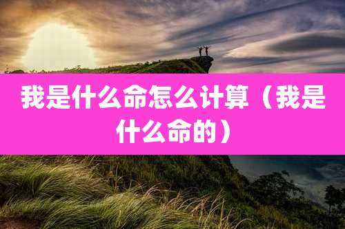我是什么命怎么计算(我是什么命的)