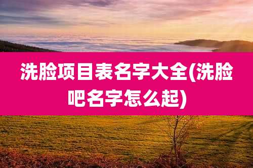 洗脸项目表名字大全(洗脸吧名字怎么起)