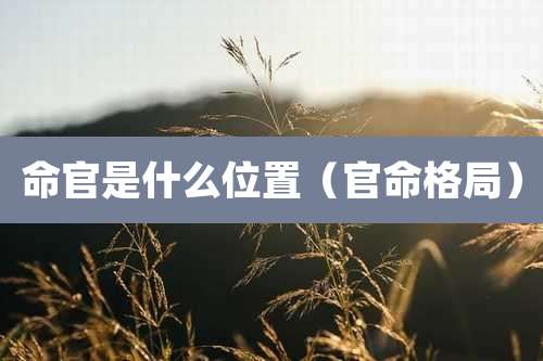 命官是什么位置(官命格局)