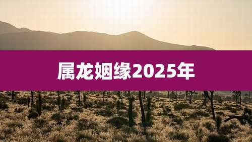 属龙姻缘2025年