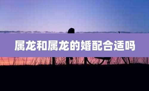 属龙和属龙的婚配合适吗