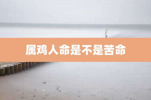 属鸡人命是不是苦命