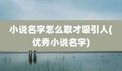 小说名字怎么取才吸引人(优秀小说名字)