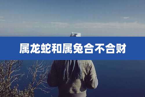 属龙蛇和属兔合不合财
