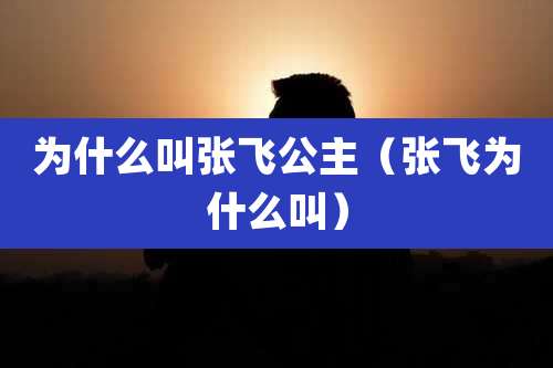 为什么叫张飞公主(张飞为什么叫)