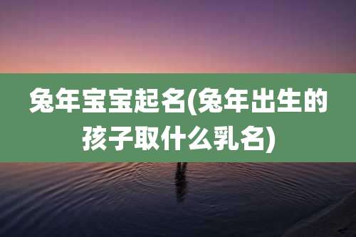 兔年宝宝起名(兔年出生的孩子取什么乳名)